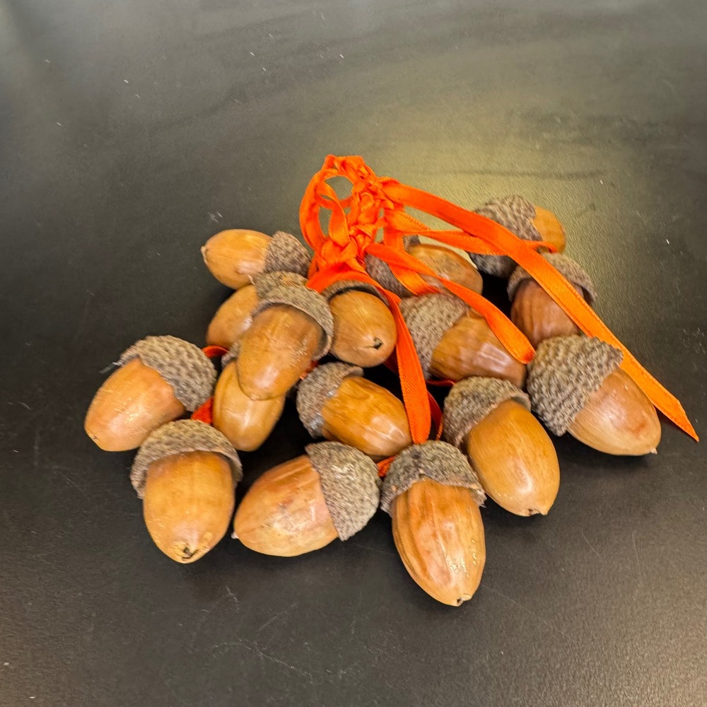 Handmade Acorn Ornaments Set 12pc Brown Orange Autumn Woodland Decor